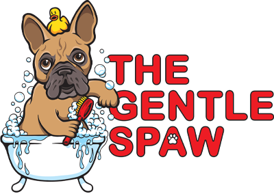 The Gentle Spaw