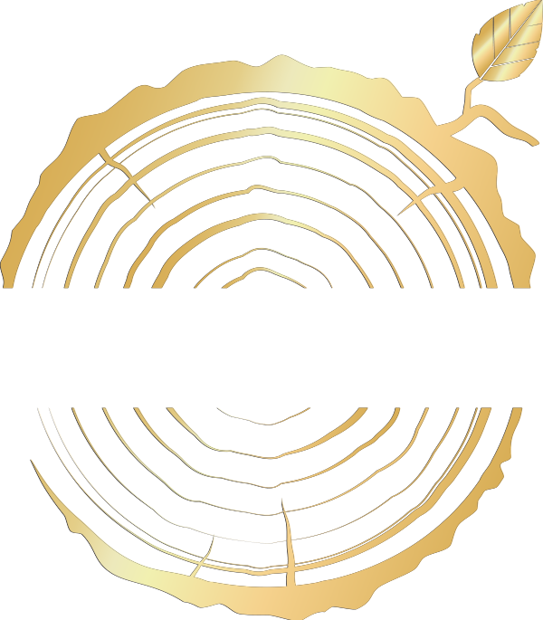 Roots Salon - Tioga