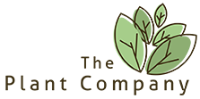 The Plant Company