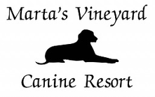 Marta's Vineyard Canine Resort