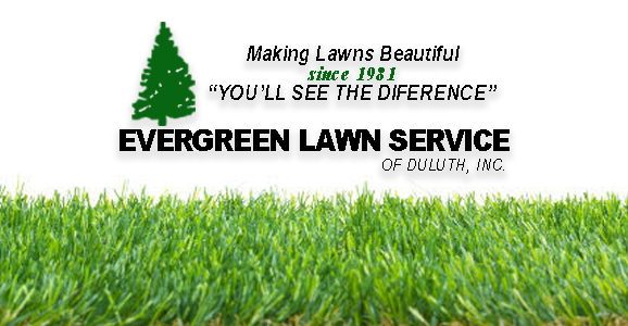 Evergreen Lawn Service