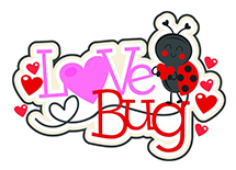 Love Bug Care LLC