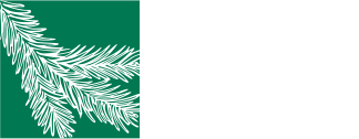 Red Cedar Surgery Center LLC