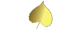 Aspen Investment Management Inc.