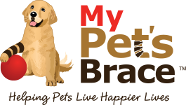 My Pet's Brace - New Jersey