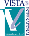 Vista International