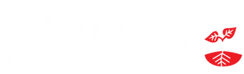 Laulima Government Solutions LLC