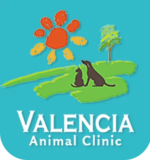 Valencia Animal Clinic