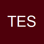 T & E Services