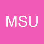 Minnesota State University Mankato - School of Nursing