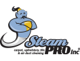 Steam Pro Inc