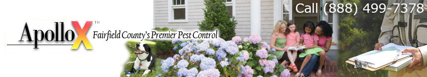 ApolloX Pest Control