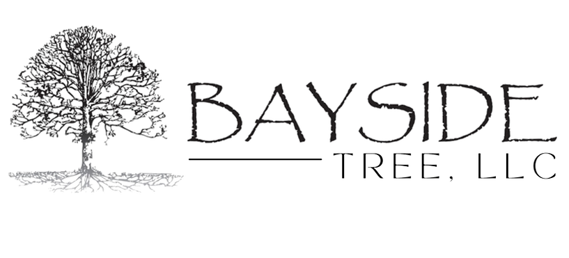 Bayside Tree, LLC