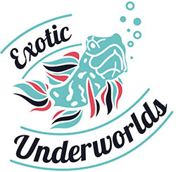 Exotic Underworlds