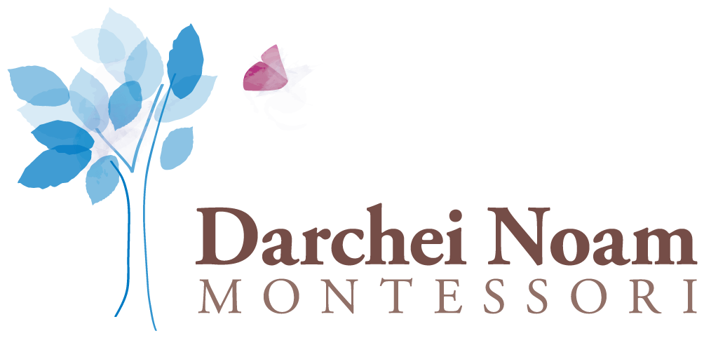 Darchei Noam Montessori