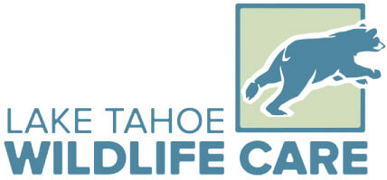 Lake Tahoe Wildlife Care, Inc..