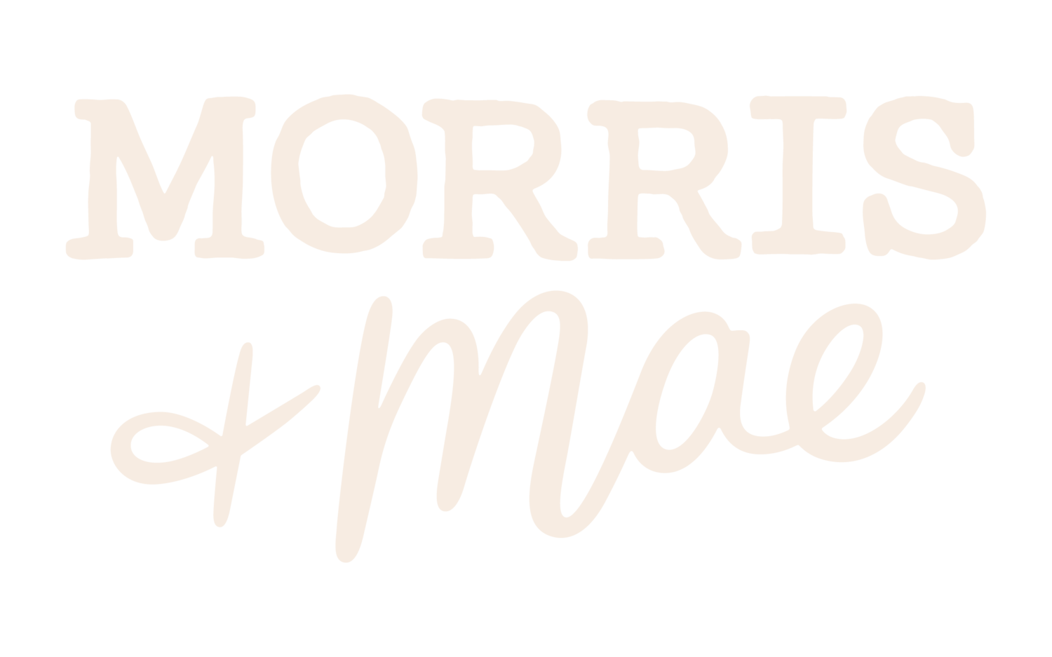 Morris & Mae Market