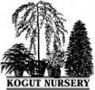 Kogut Nursery LLC