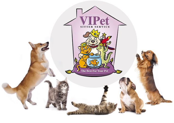 VIPet Sitter Service, LLC