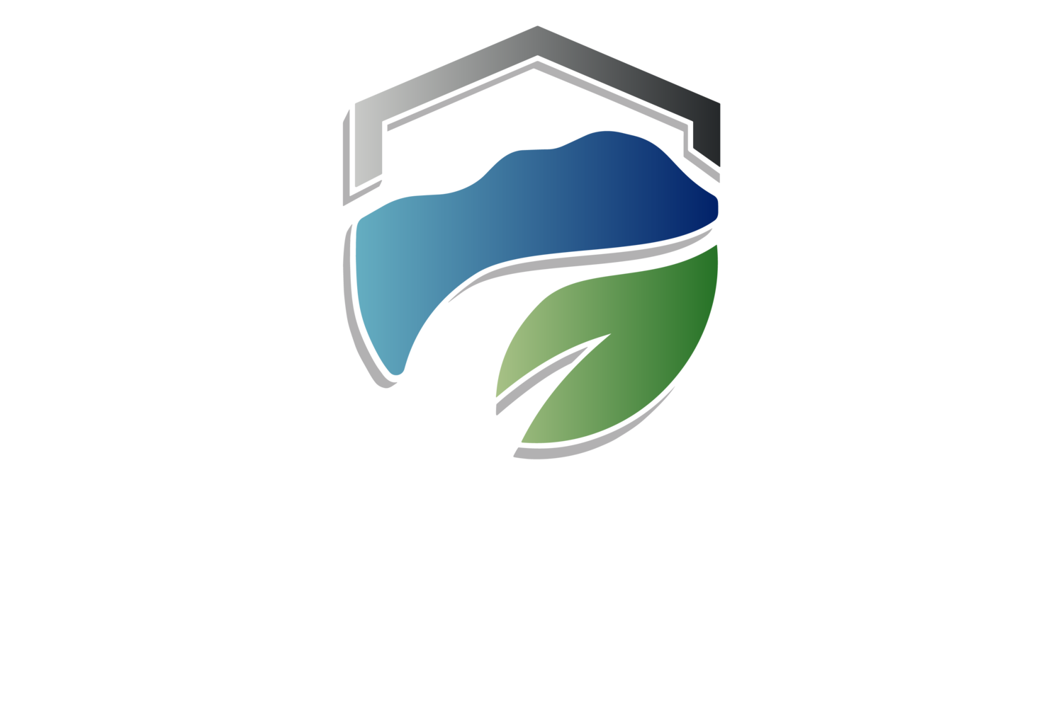 Platinum Pools and Landscape