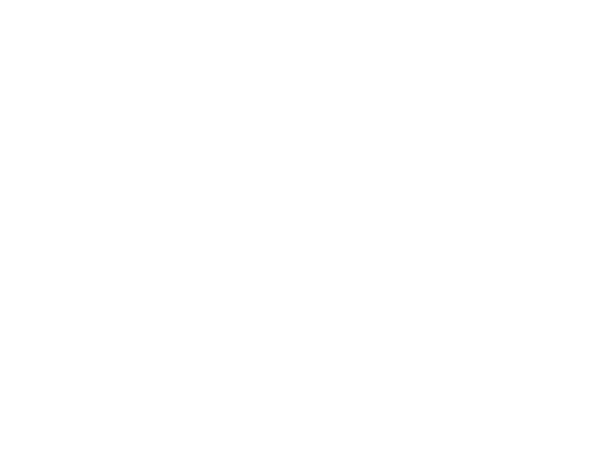 Max and Leo's Pizza Chelmsford