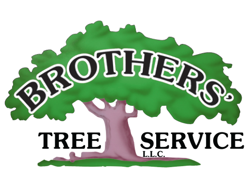 Brother's Tree Service LLC