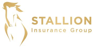 Stallion Insurance Group