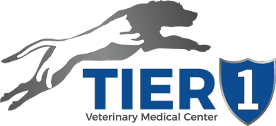 Tier 1 Veterinary Medical Center