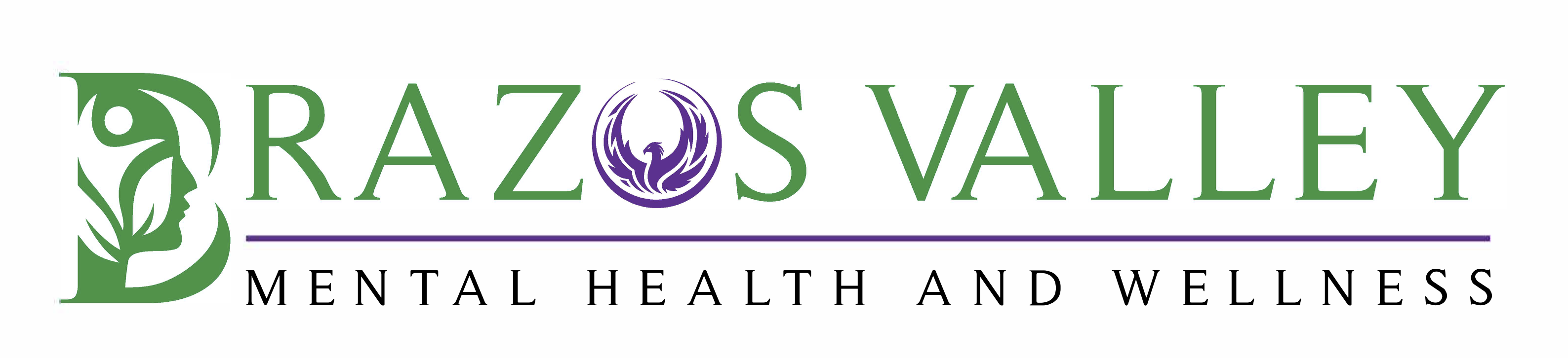 Brazos Valley Mental Health and Wellness