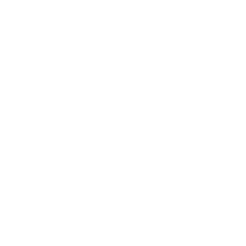 Spirit of the Heart