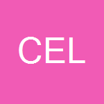 Celi Electric Lighting Inc