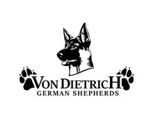 Von Dietrich German Shepherds