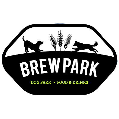 Brew Park Plymouth