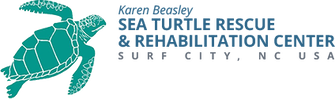 Karen Beasley Sea Turtle ?Rescue & Rehabilitation Center