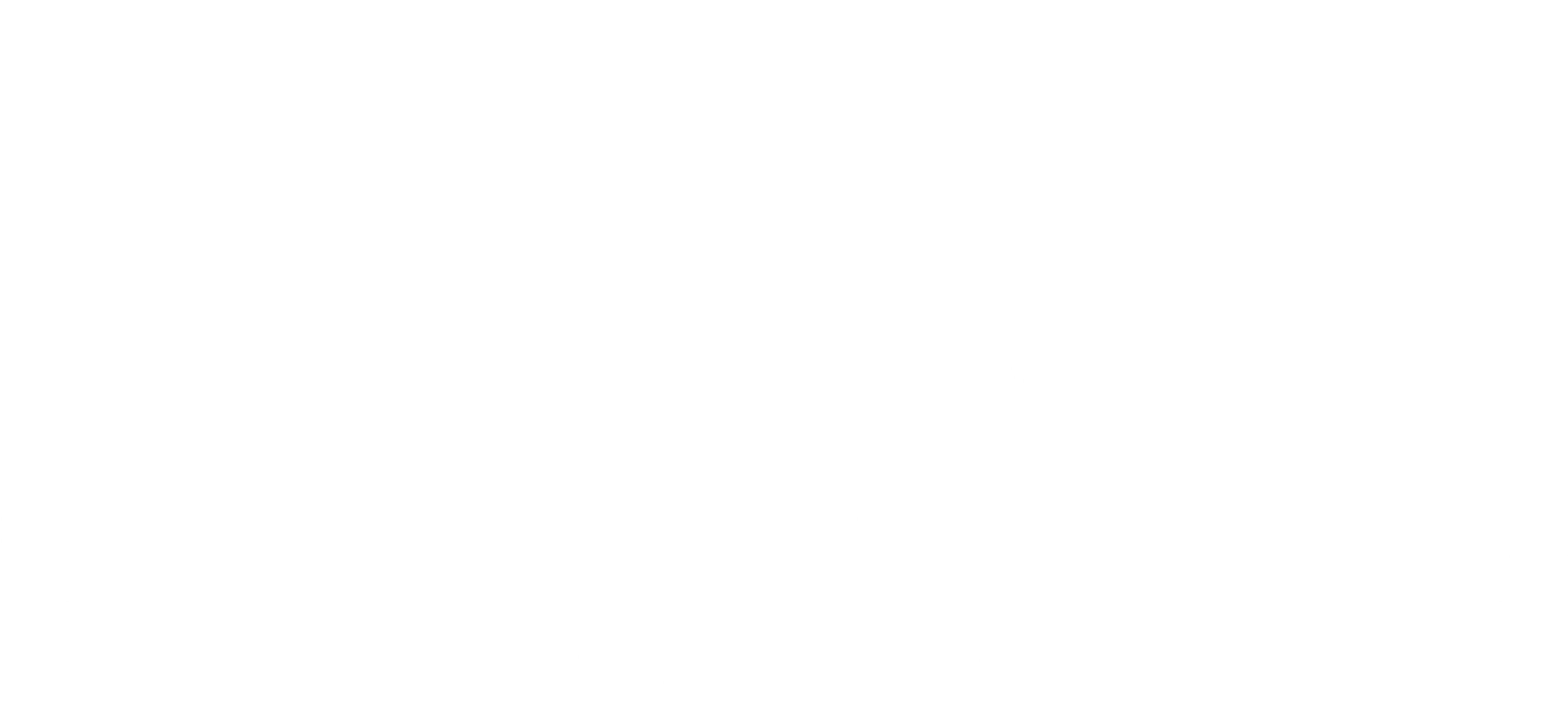 Great Lakes Orthopedics & Sports Medicine