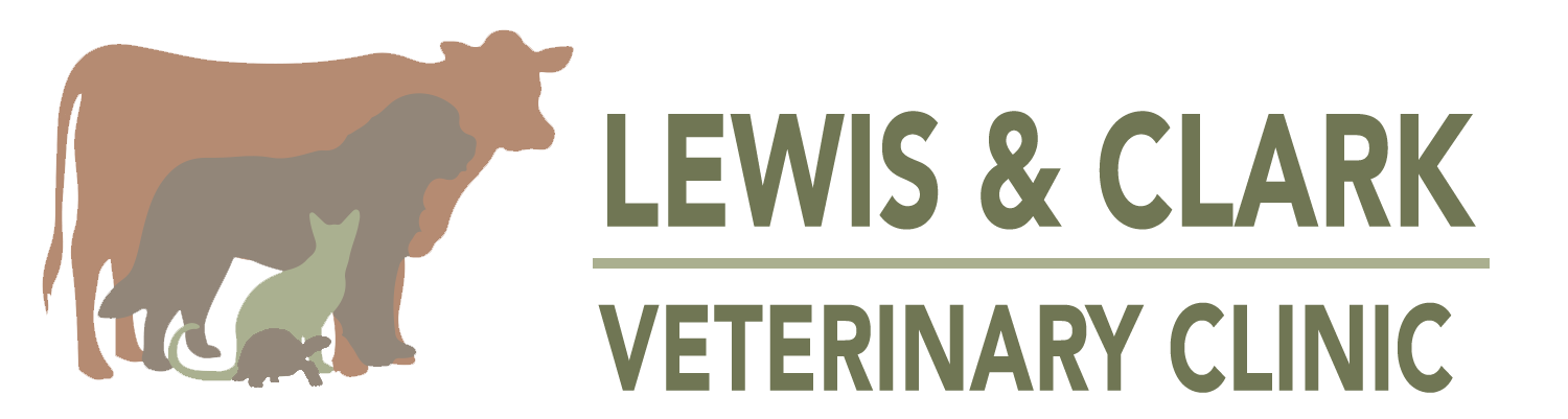 Lewis and Clark Veterinary Clinic