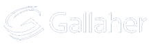 Gallaher & Associates Inc