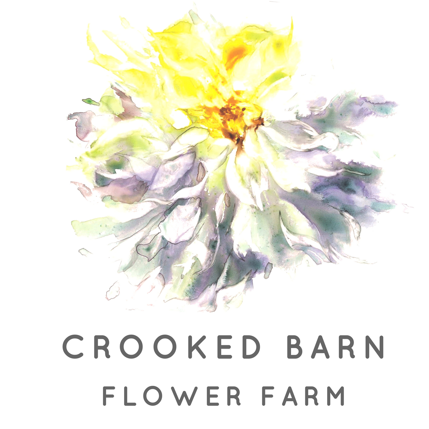 Crooked Barn Flower Farm