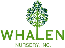 Whalen Nursery Inc