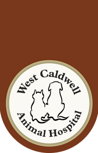 West Caldwell Animal Hospital