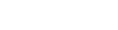 Damico Building Group