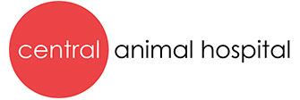 Central Animal Hospital