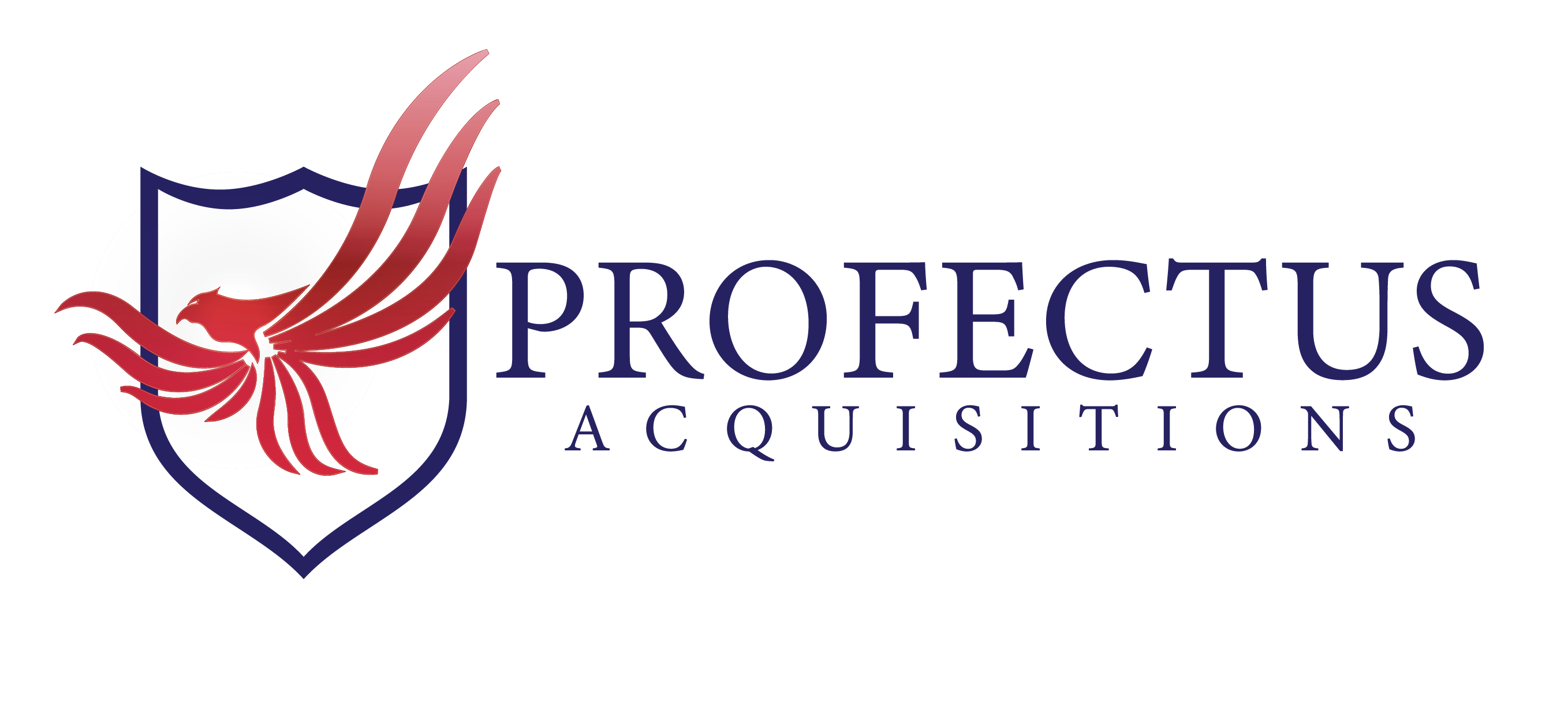 Profectus Acquisitions