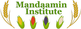 Mandaamin Institute