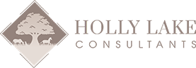 Holly Lake Consultants