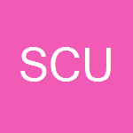 Southern Christian University