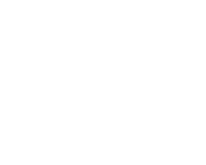 VnS Academy