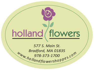 Holland's Flowers