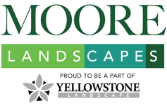 Moore Landscapes