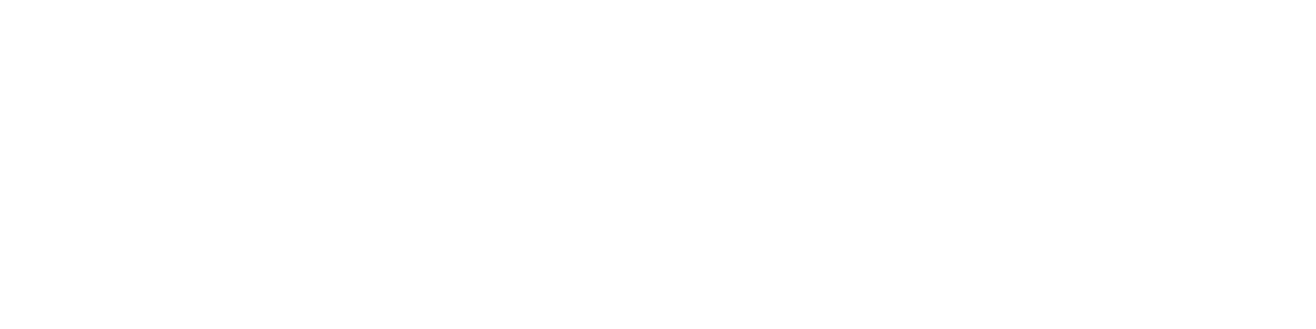 Denali Motors LLC